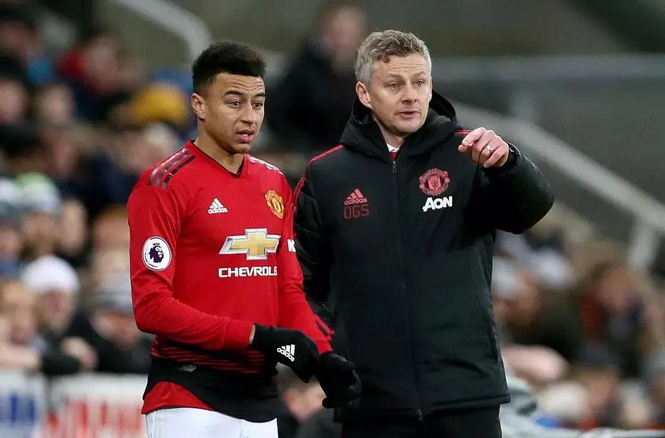 洛普的领导 洛普的领导